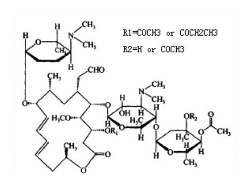 乙酰螺旋霉素，24916-51-6，10mM in DMSO
