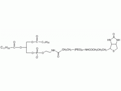 二硬脂酰磷脂酰乙酰胺-聚乙二醇-生物素，MW 2000 Da