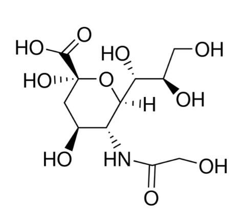 <em>N</em>-羟<em>乙酰</em>神经氨酸，1113-83-<em>3</em>，≥95% (HPLC)