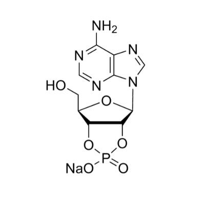 腺苷<em>2</em>′:<em>3</em>′-循环磷酸钠盐，37063-35-7，97%