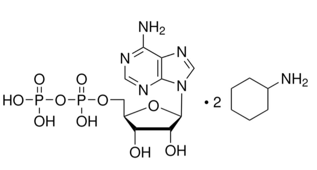 腺苷-5′-二磷酸 双环己铵盐，102029-87-8，95% (HPLC