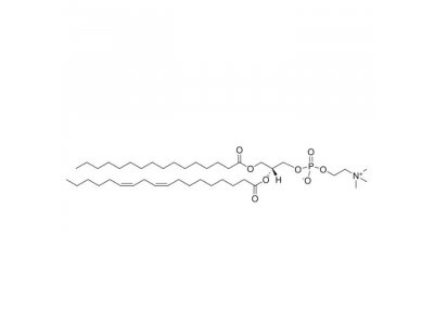 L-α-磷脂酰胆碱(大豆)，97281-47-5，>99%