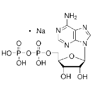 腺苷-5′-二<em>磷酸</em> <em>钠盐</em>