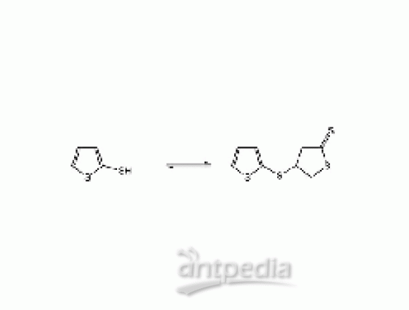 2-噻吩硫醇（含二聚物）