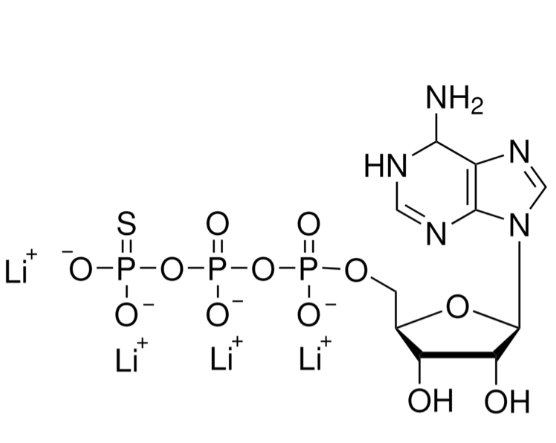 ATP-γ-<em>S</em>,激酶底物，93839-89-5，≥80%