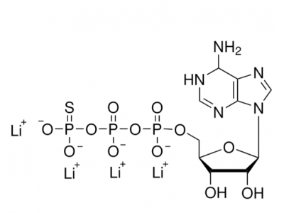 ATP-γ-S,激酶底物，93839-89-5，≥80%