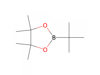 叔丁基硼酸频呐醇酯，99810-76-1，97%