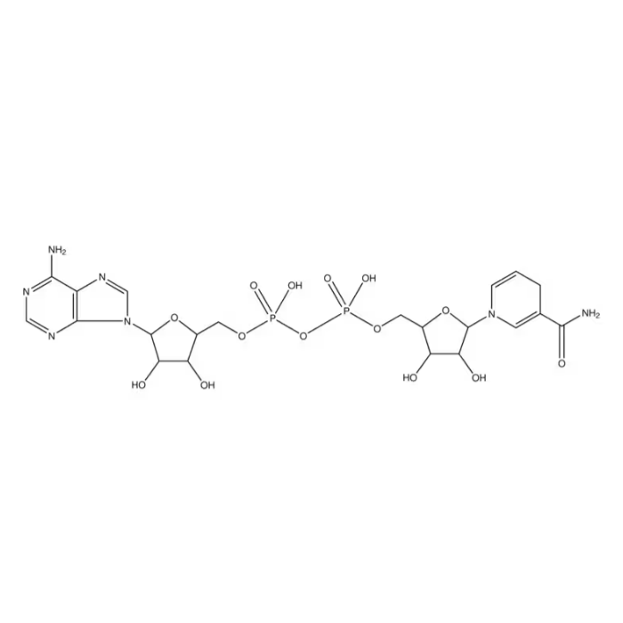 还原型 β-烟酰胺<em>腺</em><em>嘌呤</em>二核苷酸 二钾盐，104809-32-7，≥95%