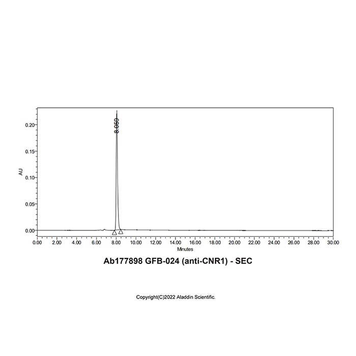 GFB-<em>024</em> (anti-CNR1)，ExactAb™, Validated, Carrier Free, Low Endotoxin, Azide
