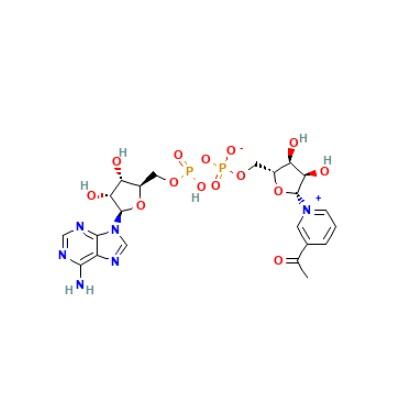 3-乙酰吡啶<em>腺</em><em>嘌呤</em>二<em>核苷酸</em>(氧化型)APAD，86-08-8，≥90%