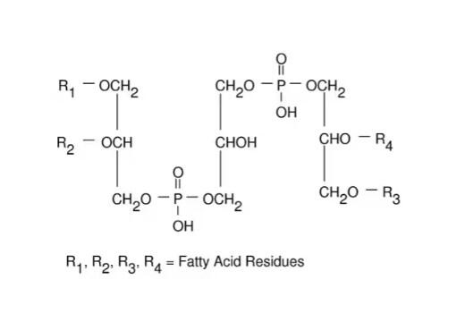心磷脂 溶液 来源于牛心脏，4.7-5.3 mg/mL in <em>ethanol</em>, ≥97% (TLC)
