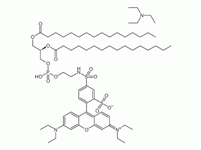 罗丹明DHPE [罗丹明B 1,2-双十六烷酰基-sn-甘油-3-磷酸乙醇胺,三乙铵盐]，126111-99-7