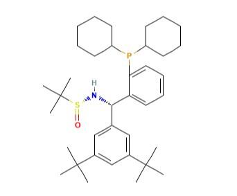 [S(R)]-N-[(S)-3,5-<em>二叔</em><em>丁基</em>苯基)]-[2-(二环己基<em>膦</em>)苯基]-2-叔<em>丁基</em>亚磺酰胺，≥95%