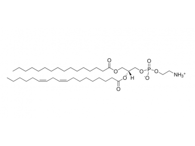 L-α-磷脂酰乙醇胺(大豆)，97281-51-1，>99%
