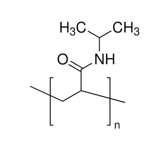 聚<em>N</em>-<em>异</em><em>丙基</em>丙烯酰胺，25189-55-3，Mn 40,000