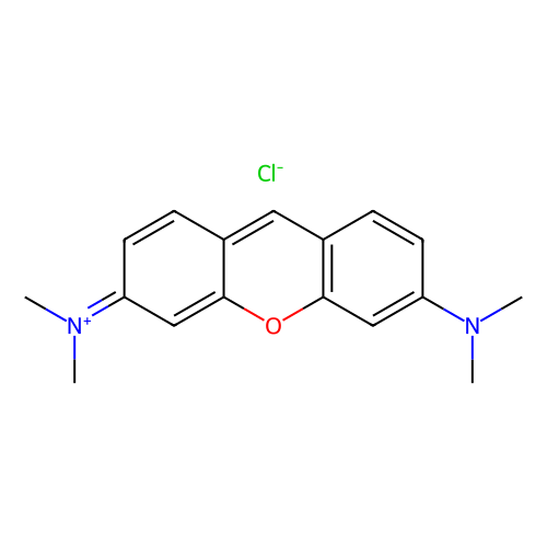 派洛宁Y，<em>92-32</em>-0，biological stain