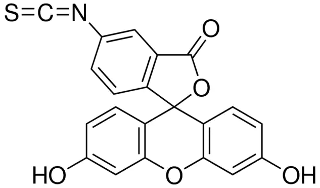 异硫氰酸<em>荧光素</em>，27072-45-3，90%,5-和<em>6</em>-异构体混合物
