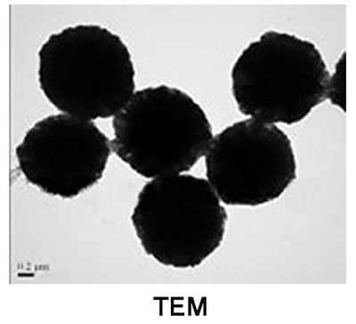 γ-三氧化二铁磁性微球，1309-37-<em>1</em>，基质:SiO2,表面基团:-Epoxy,粒径:2-3μm,单位:<em>10mg</em>/ml