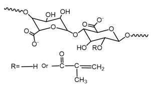 甲基丙烯酰化<em>海藻</em><em>酸钠</em>（AlgMA），MA化程度20%-30%，分子量50-100KDa