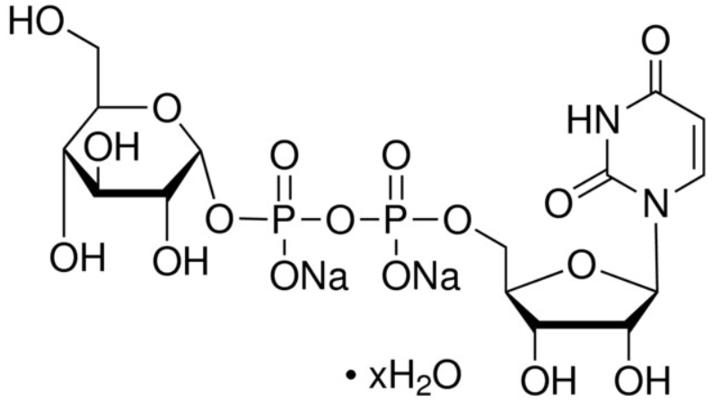 尿苷-5′-<em>二磷酸葡萄糖</em> <em>二</em>钠盐<em>水合物</em> ，28053-08-9，97.0% (HPLC)