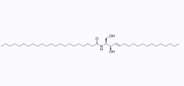 <em>C22</em>神经酰胺（d18：1/22：0），27888-44-4，>99%