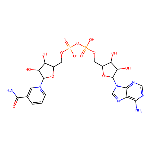 β-烟酰胺<em>腺</em><em>嘌呤</em>二<em>核苷酸</em>(NAD)，53-84-9，97%