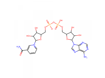 β-烟酰胺腺嘌呤二核苷酸(NAD)，53-84-9，97%