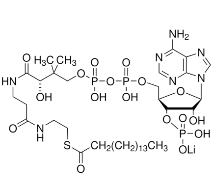 棕榈酰<em>辅酶</em>A锂盐，188174-64-3，≥90%