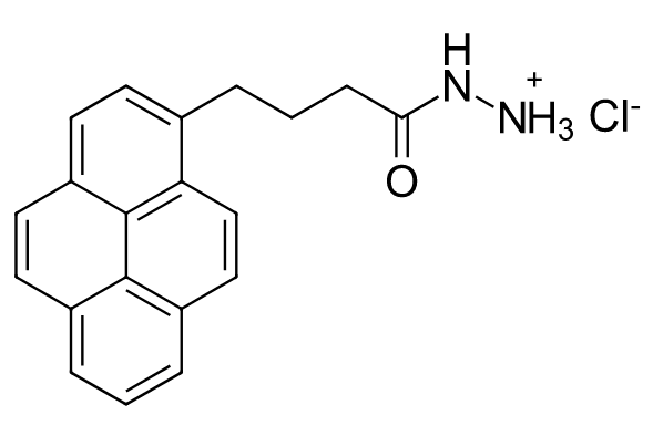4-（1-芘基）丁酸酰肼盐酸盐，95