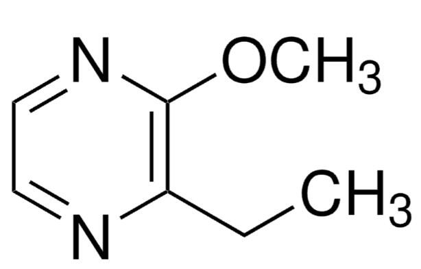 2-乙基-<em>3</em>-<em>甲</em>氧基<em>吡</em>嗪，25680-58-4，98%