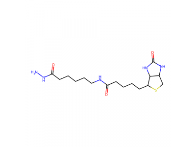 (+)-生物素酰胺基己酸肼，109276-34-8，93%