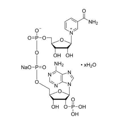 <em>三</em><em>磷酸</em>吡啶核苷酸 钠盐 <em>水合物</em>，698999-85-8，≥98% (HPLC)