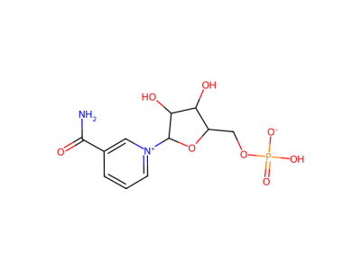 烟酰胺核苷酸(NMN)，1094-61-7，10mM in Water