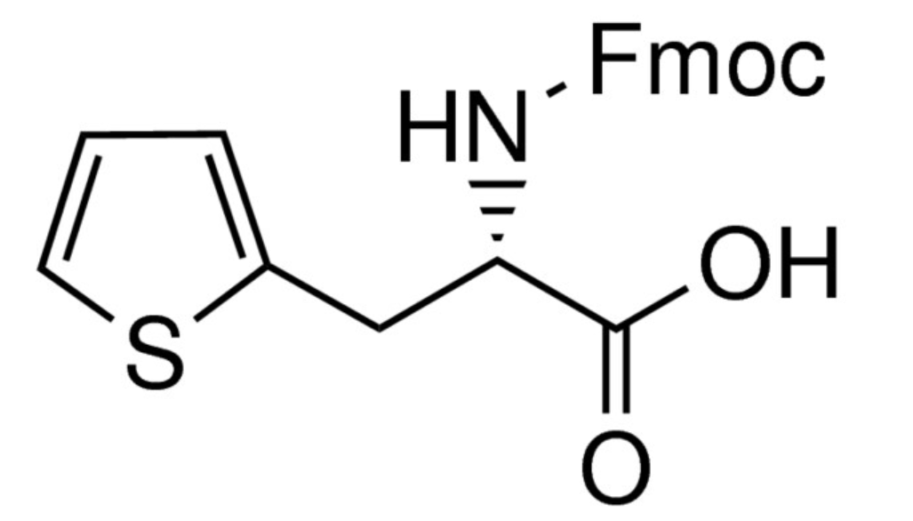 (S)-<em>2</em>-((((9H-芴-9-<em>基</em>)甲氧基)羰基)氨基)-<em>3</em>-(<em>噻吩</em>-<em>2</em>-<em>基</em>)丙酸，130309-35-2，95%