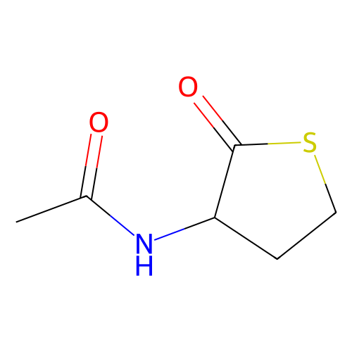 3-乙酰氨基四氢-2-噻吩，1195-16-0，10mM in DMSO