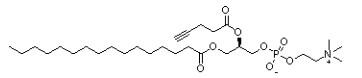 1-棕榈酰基-2-<em>炔</em><em>丙基</em>乙酰磷脂酰胆碱，1353897-91-2，98%