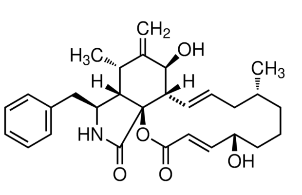 细胞松弛素B，14930-96-2，98