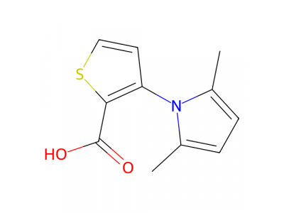 3-（2,5-二甲基-1H-吡咯-1-基）噻吩-2-羧酸，477888-48-5，97%