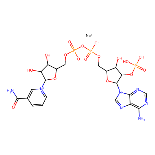 β-<em>烟</em>酰胺腺嘌呤二核苷酸磷<em>酸钠</em>盐(NADP)，1184-16-3，97%
