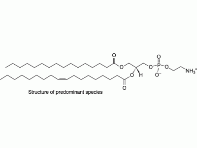L-α-磷脂酰乙醇胺,反式磷脂酰化(鸡蛋)，383907-63-9，>99%
