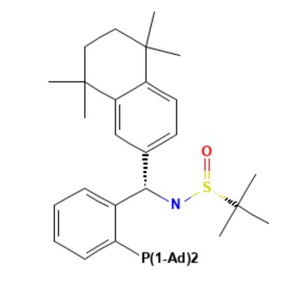 [S(R)]-N-[(S)-[<em>2</em>-(二金刚烷基膦)苯基](<em>5,6,7</em>,8-四氢-<em>5,5,8</em>,8-四甲基-<em>2</em>-萘基)甲基]-<em>2</em>-叔丁基亚磺酰胺，≥95%