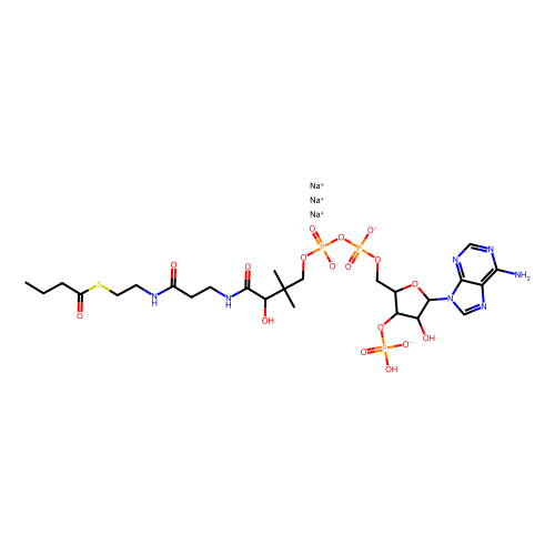 丁酰基<em>辅酶</em>A(钠盐)，799812-79-6，≥95%
