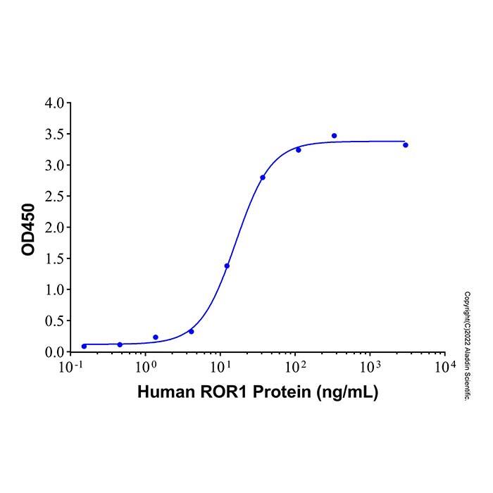 Recombinant Human ROR1 Protein，ActiBioPure™, Bioactive, Animal Free, Carrier Free, Azide Free, ≥95%(<em>SDS-PAGE</em>)