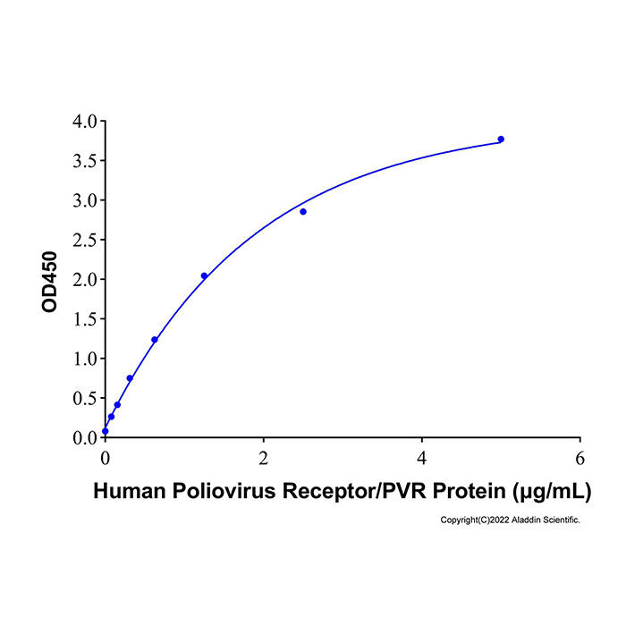 Recombinant <em>Human</em> Poliovirus Receptor/<em>PVR</em> <em>Protein</em>，ActiBioPure™, Bioactive