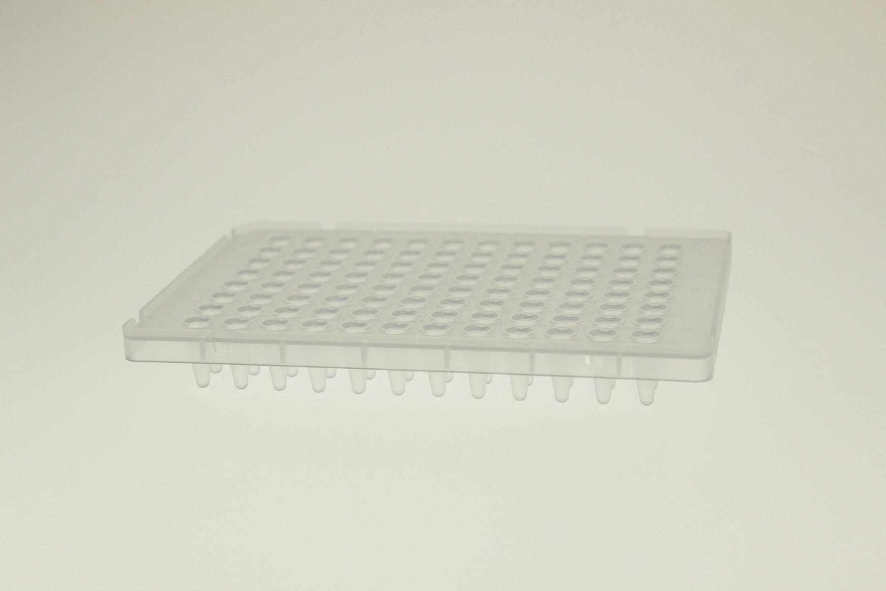 <em>96</em>孔PCR板