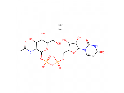 UDP-N-乙酰基-D-半乳糖胺二钠盐，108320-87-2，98%
