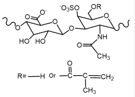 甲基丙烯酰化<em>硫酸软骨素</em>，MA化程度20-30%