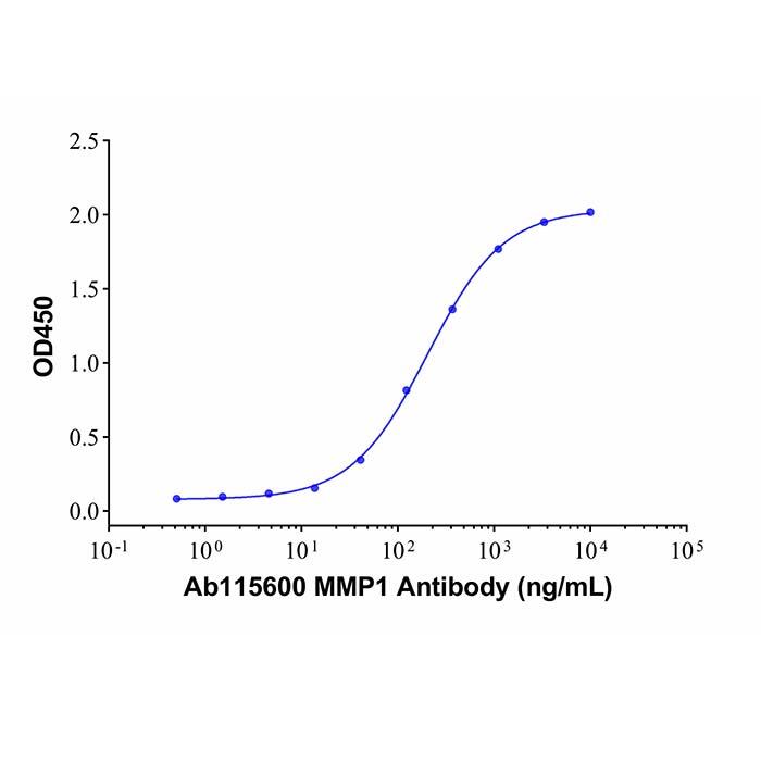 Recombinant Human MMP-1 Protein，ActiBioPure™, Bioactive, Animal Free, Carrier Free, Azide Free, ≥95%(<em>SDS-PAGE</em>)