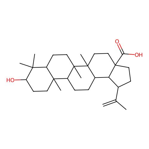 白桦脂酸，472-15-1，分析标准品,>98