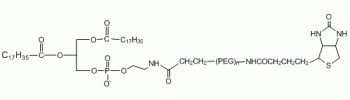 二硬脂酰磷脂酰乙酰胺-聚乙二醇-生物素，MW 1000 Da